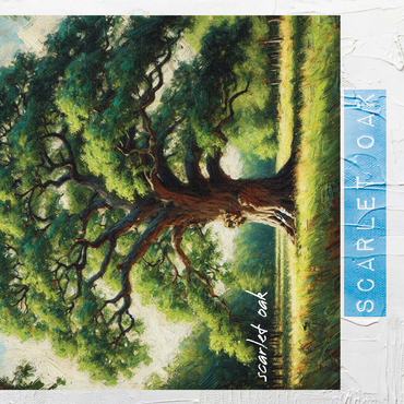 State Trees Series: Washington D.C., Scarlet Oak 500 Jigsaw Puzzle 3D Modell
