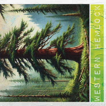 State Trees Series: Washington, Western Hemlock 1000 Jigsaw Puzzle 3D Modell