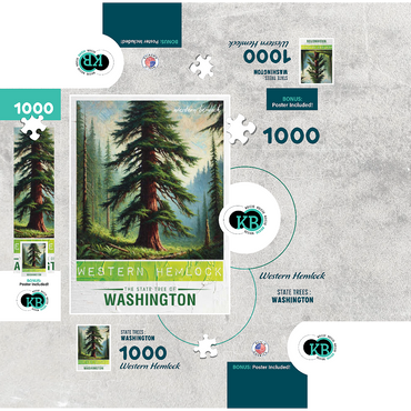 State Trees Series: Washington, Western Hemlock 1000 Jigsaw Puzzle box 3D Modell