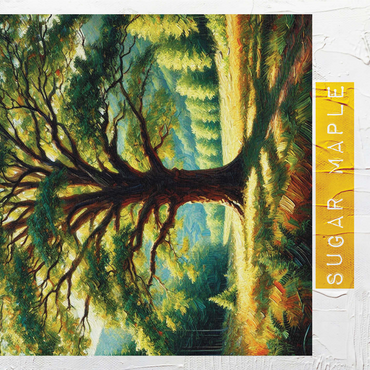 State Trees Series: West Virginia, Sugar Maple Tree 1000 Jigsaw Puzzle 3D Modell