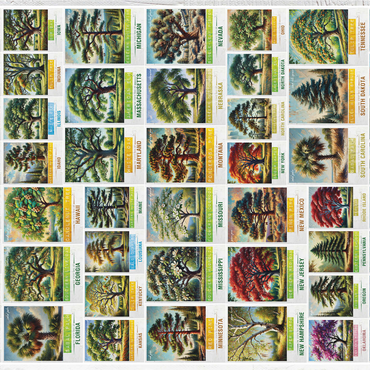 Collage: 50 State Trees Poster, vol.1 1000 Jigsaw Puzzle 3D Modell