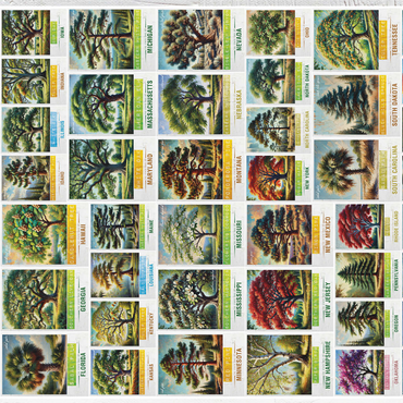 Collage: 50 State Trees Poster, vol.1 500 Jigsaw Puzzle 3D Modell
