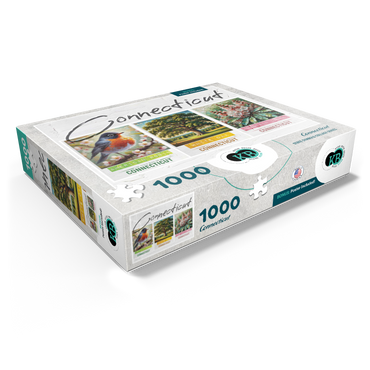 Connecticut: Bird, Tree, Flower- State Symbols Collage Series 1000 Jigsaw Puzzle box view1