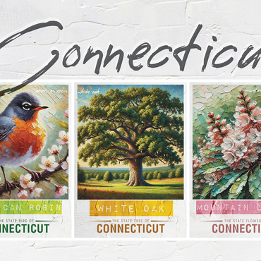Connecticut: Bird, Tree, Flower- State Symbols Collage Series 500 Jigsaw Puzzle 3D Modell