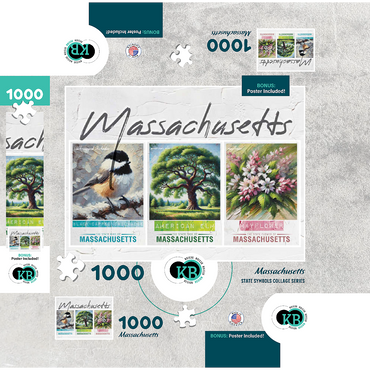 Massachusetts: Bird, Tree, Flower- State Symbols Collage Series 1000 Jigsaw Puzzle box 3D Modell