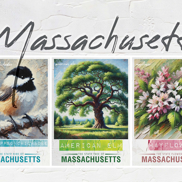 Massachusetts: Bird, Tree, Flower- State Symbols Collage Series 500 Jigsaw Puzzle 3D Modell