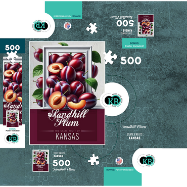 Colorful Fruits: Kansas, Sandhill Plum -State Fruits Series 500 Jigsaw Puzzle box 3D Modell