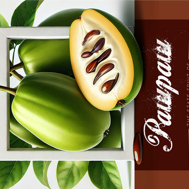 Colorful Fruits: Missouri, Pawpaw -State Fruits Series 1000 Jigsaw Puzzle 3D Modell