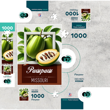 Colorful Fruits: Missouri, Pawpaw -State Fruits Series 1000 Jigsaw Puzzle box 3D Modell