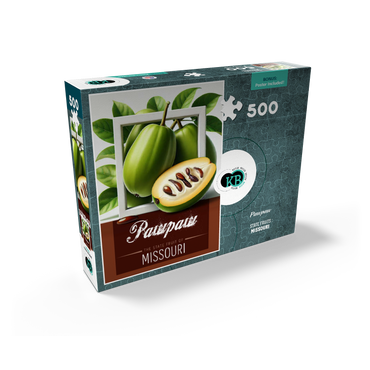 Colorful Fruits: Missouri, Pawpaw -State Fruits Series 500 Jigsaw Puzzle box view2