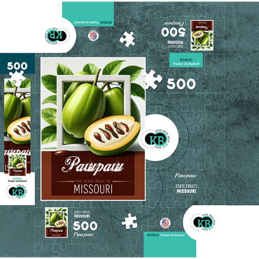 Colorful Fruits: Missouri, Pawpaw -State Fruits Series 500 Jigsaw Puzzle box 3D Modell