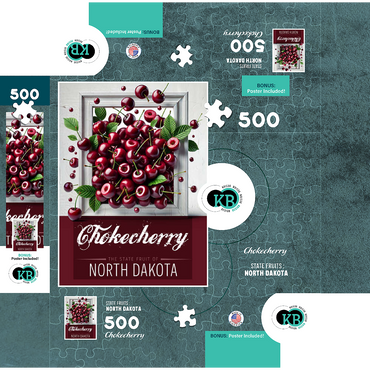 Colorful Fruits: North Dakota, Chokecherry -State Fruits Series 500 Jigsaw Puzzle box 3D Modell