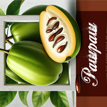 Colorful Fruits: Ohio, Pawpaw -State Fruits Series 1000 Jigsaw Puzzle 3D Modell