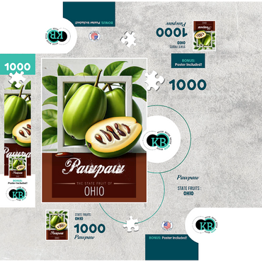 Colorful Fruits: Ohio, Pawpaw -State Fruits Series 1000 Jigsaw Puzzle box 3D Modell