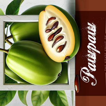 Colorful Fruits: Ohio, Pawpaw -State Fruits Series 500 Jigsaw Puzzle 3D Modell