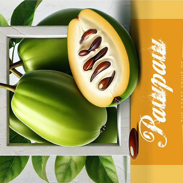 Colorful Fruits: Virginia, Pawpaw -State Fruits Series 1000 Jigsaw Puzzle 3D Modell