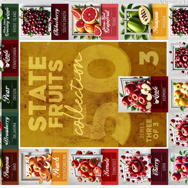 Collage: State Fruits Series, Part 3 of 3 500 Jigsaw Puzzle 3D Modell