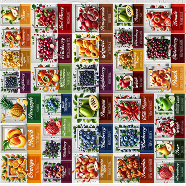 Collage Poster: State Fruits Series, vol. 1 500 Jigsaw Puzzle 3D Modell