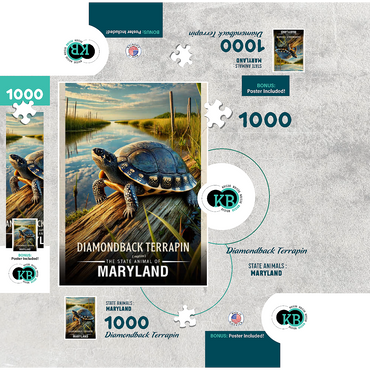 Maryland, Diamondback Terrapin: State Animals Series 1000 Jigsaw Puzzle box 3D Modell