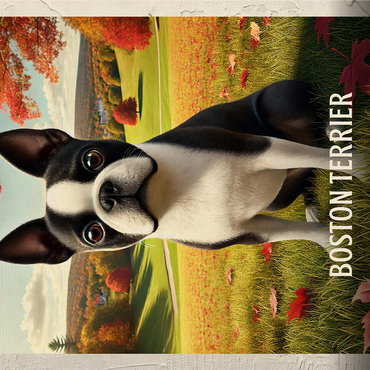 Massachusetts, Boston Terrier: State Animals Series 1000 Jigsaw Puzzle 3D Modell