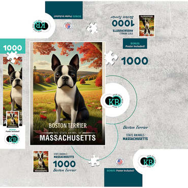 Massachusetts, Boston Terrier: State Animals Series 1000 Jigsaw Puzzle box 3D Modell