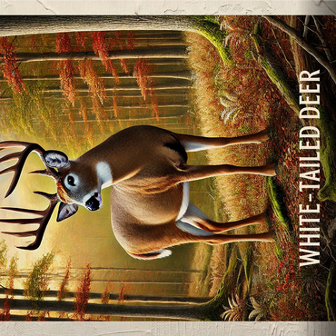 Ohio, White-Tailed Deer: State Animals Series 1000 Jigsaw Puzzle 3D Modell