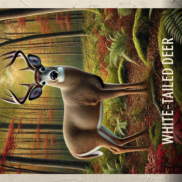 Pennsylvania, White-Tailed Deer: State Animals Series 1000 Jigsaw Puzzle 3D Modell