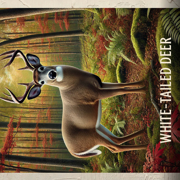 Pennsylvania, White-Tailed Deer: State Animals Series 500 Jigsaw Puzzle 3D Modell