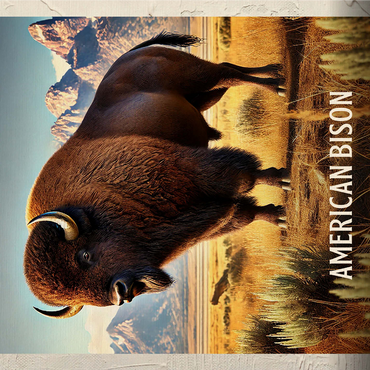 Wyoming, American Bison: State Animals Series 1000 Jigsaw Puzzle 3D Modell