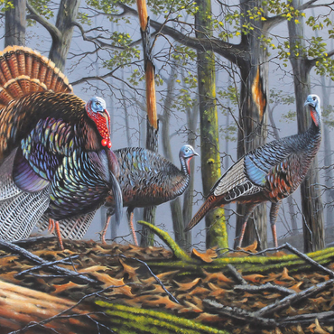 Wild Eastern Turkeys in Foggy Woodland 500 Jigsaw Puzzle 3D Modell