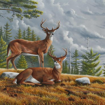 Alert White-Tailed Deer in Autumn Pines 1000 Jigsaw Puzzle 3D Modell