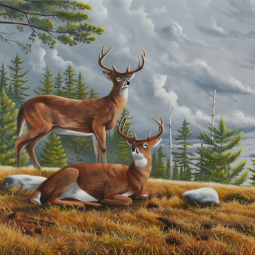 Alert White-Tailed Deer in Autumn Pines 500 Jigsaw Puzzle 3D Modell