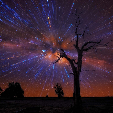 Radiant Starburst Sky over Lone Tree at Night 100 Jigsaw Puzzle 3D Modell