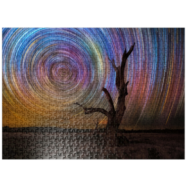 puzzleplate Colorful Star Trails Above Barren Tree - Night Sky Spiral 500 Jigsaw Puzzle