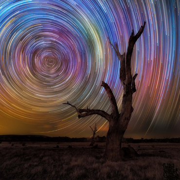 Colorful Star Trails Above Barren Tree - Night Sky Spiral 500 Jigsaw Puzzle 3D Modell