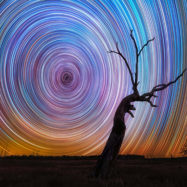 Vibrant Star Trails Over Australian Outback Tree 100 Jigsaw Puzzle 3D Modell