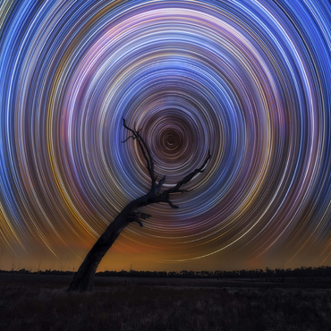 Star Trail Spiral Over Lone Outback Tree 500 Jigsaw Puzzle 3D Modell