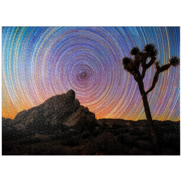 puzzleplate Joshua Tree Under Spiral Star Trails 1000 Jigsaw Puzzle