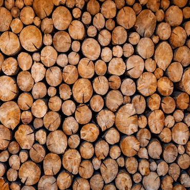 Stacked Firewood Logs with Natural Texture 100 Jigsaw Puzzle 3D Modell