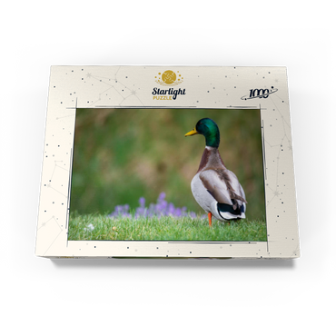 Mallard Duck on Spring Meadow with Flowers 1000 Jigsaw Puzzle box view3