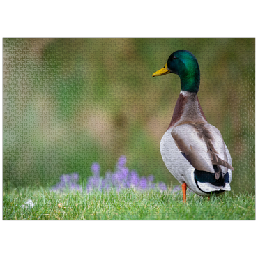 puzzleplate Mallard Duck on Spring Meadow with Flowers 1000 Jigsaw Puzzle