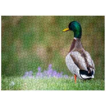 puzzleplate Mallard Duck on Spring Meadow with Flowers 500 Jigsaw Puzzle