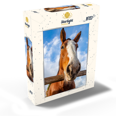Clydesdale Horse Close-Up with Blue Sky Backdrop 1000 Jigsaw Puzzle box view2