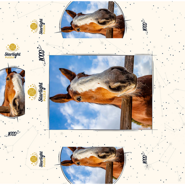 Clydesdale Horse Close-Up with Blue Sky Backdrop 1000 Jigsaw Puzzle box 3D Modell