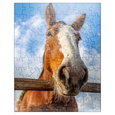 puzzleplate Clydesdale Horse Close-Up with Blue Sky Backdrop 100 Jigsaw Puzzle