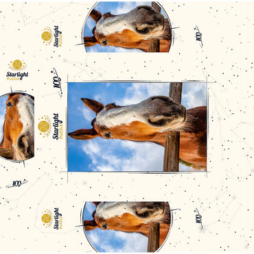 Clydesdale Horse Close-Up with Blue Sky Backdrop 100 Jigsaw Puzzle box 3D Modell