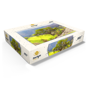 California Oak Tree in Spring Green Hills 1000 Jigsaw Puzzle box view1