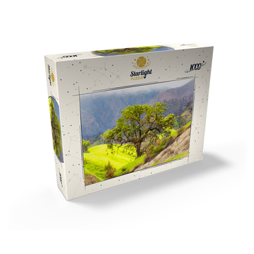 California Oak Tree in Spring Green Hills 1000 Jigsaw Puzzle box view2