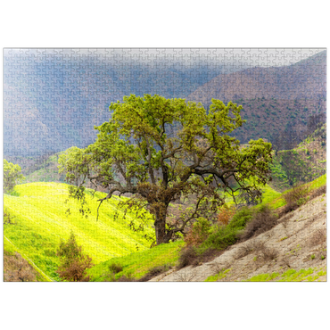 puzzleplate California Oak Tree in Spring Green Hills 1000 Jigsaw Puzzle