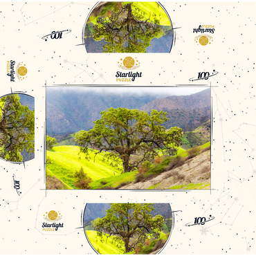 California Oak Tree in Spring Green Hills 100 Jigsaw Puzzle box 3D Modell